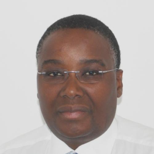 Aimé Lay–Ekuakille Image