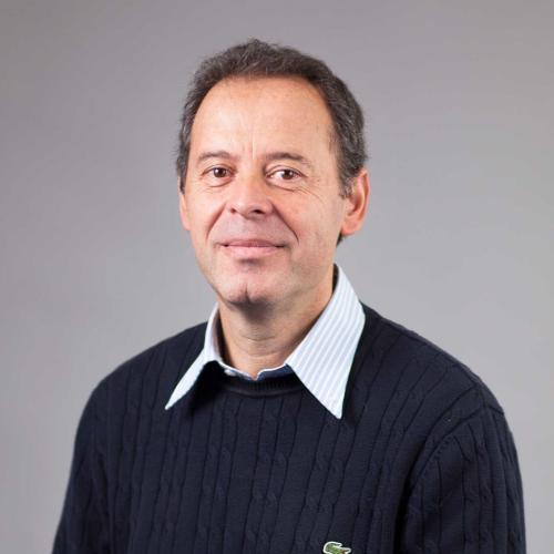 Cesare Alippi Image