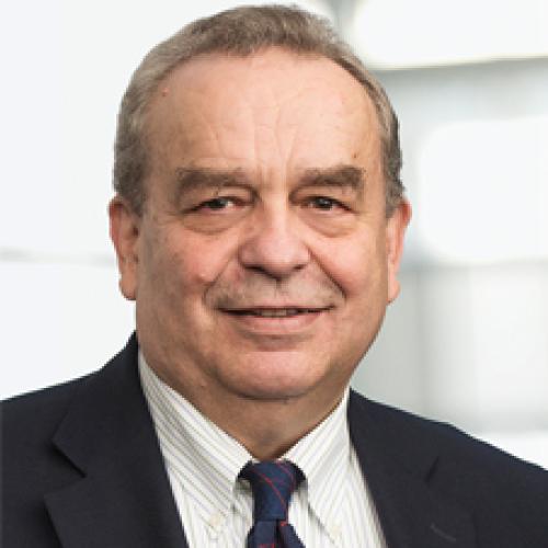 Emil Petriu Image