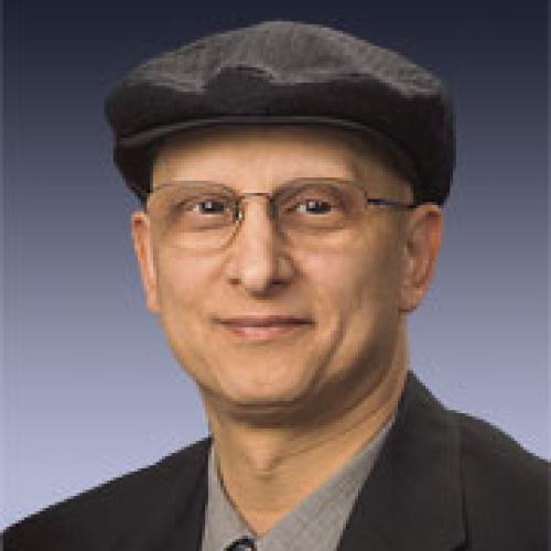 Sasan Bakhtiari Image