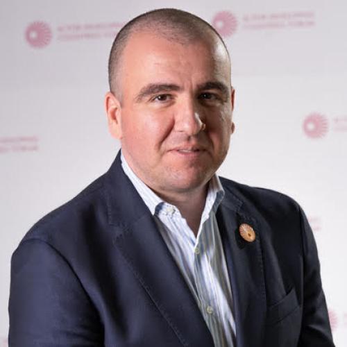 Grigore Stamatescu Image