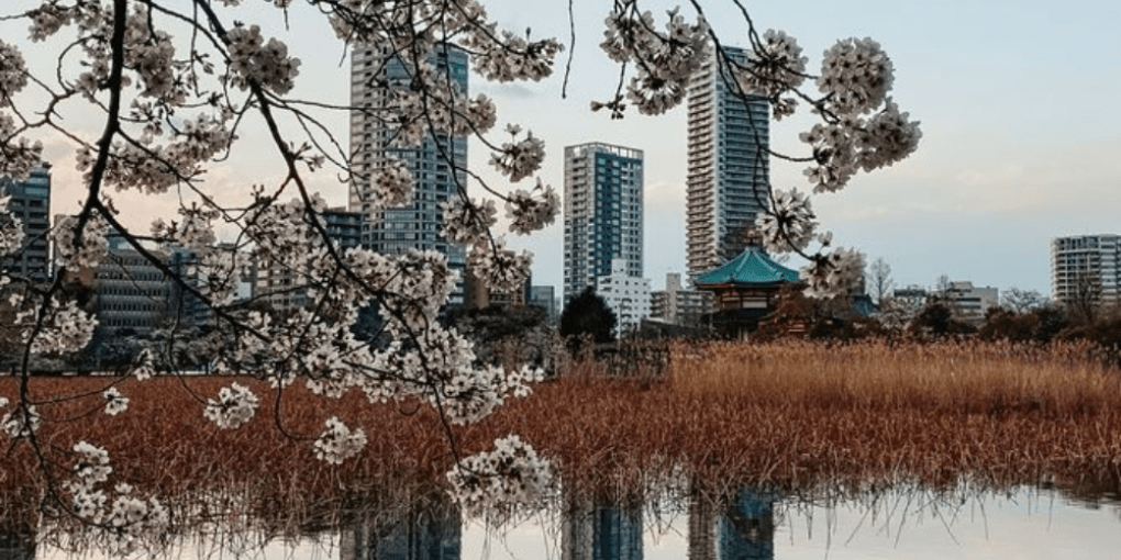 Hosei University Tokyo, Japan