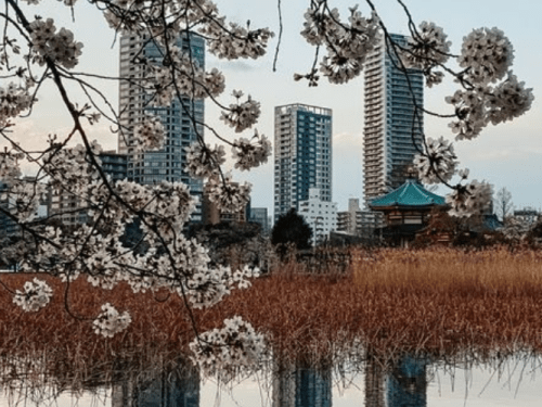 2023 IEEE International Symposium on RObotic and SEnsors Environments Image